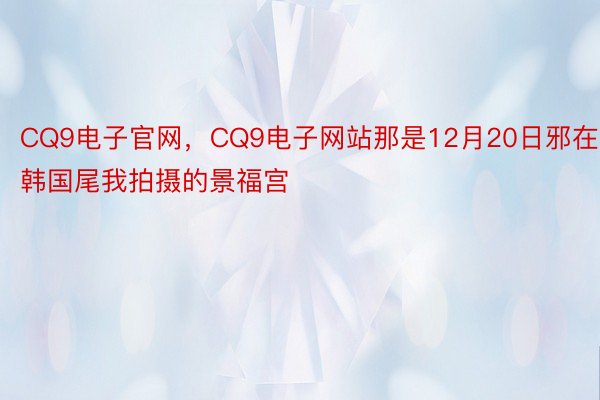 CQ9电子官网，CQ9电子网站那是12月20日邪在韩国尾我拍摄的景福宫